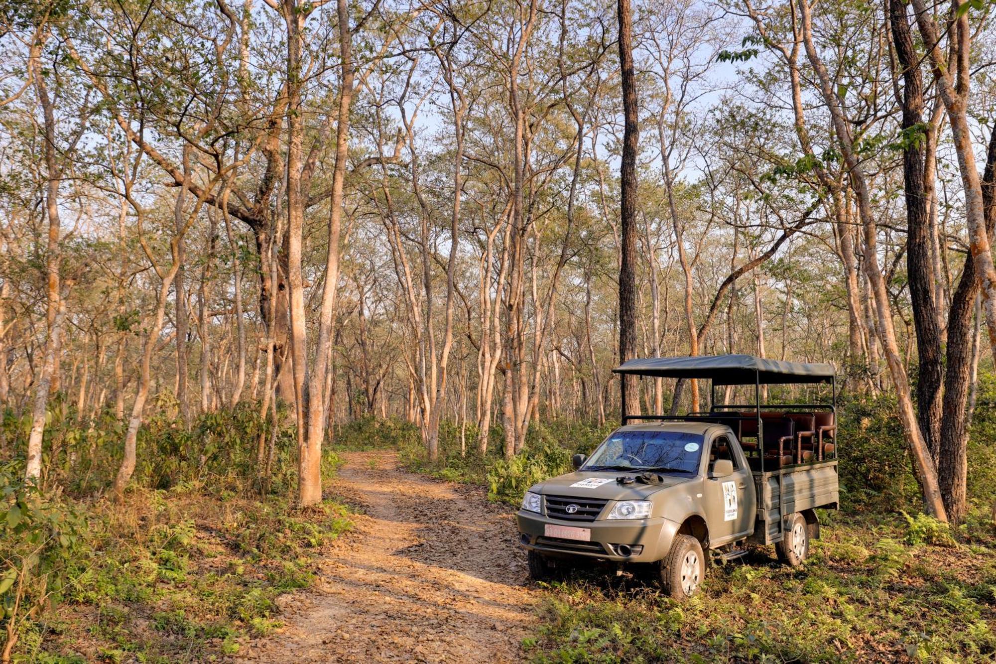 Patlahara Tigerland Safari - A Lemon Tree Resort, Chitwan, Nepal מראה חיצוני תמונה