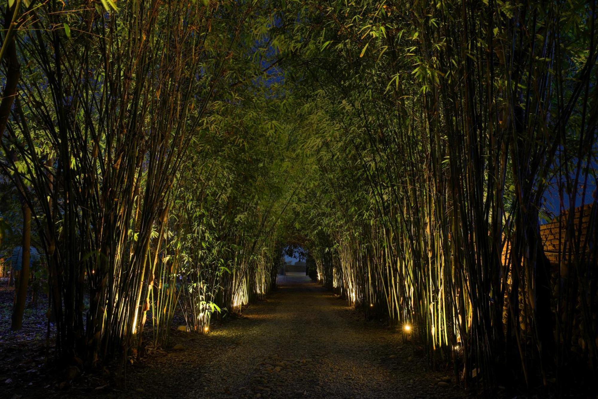 Patlahara Tigerland Safari - A Lemon Tree Resort, Chitwan, Nepal מראה חיצוני תמונה