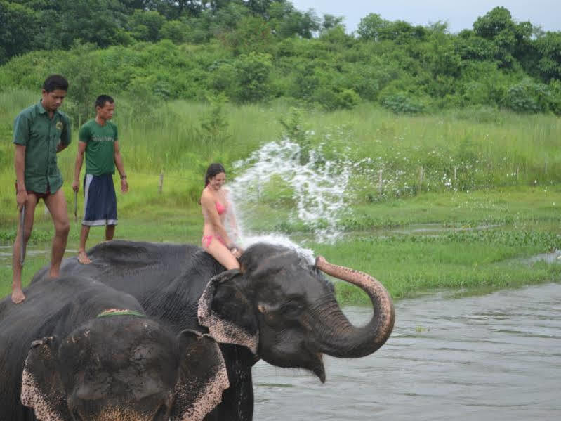 Patlahara Tigerland Safari - A Lemon Tree Resort, Chitwan, Nepal מראה חיצוני תמונה